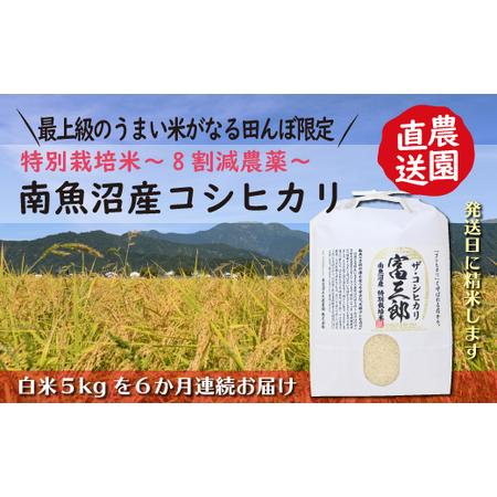 ふるさと納税 南魚沼産コシヒカリ　富三郎　 肥沃な大地と八海山の雪解け水が育んだ厳選米 　白米５ｋｇ全６回 新潟県南魚沼市