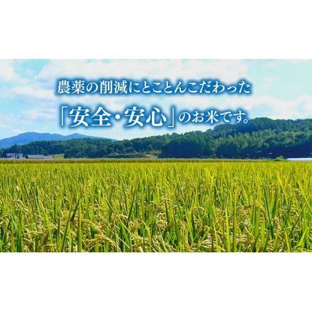 ふるさと納税 特別栽培米ゆめぴりか 5kg・旭川産ななつぼし 5kg 計10kg 北海道旭川市