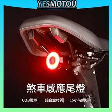 智能感應剎車燈 自行車燈 煞車燈 感應燈 USB充電 尾燈 警示燈 自行車尾燈 LED燈 騎行裝備 自行車後燈