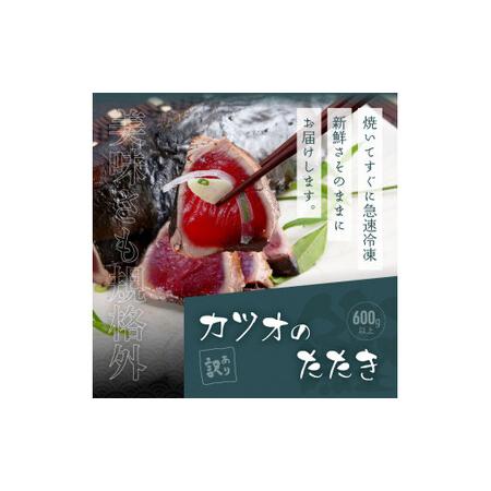 ふるさと納税 海鮮「ブリの漬け丼の素」1食80g×5P＋「訳ありカツオのたたき」600g以上《迷子のブリを食べて応援 養殖生産業者応援プロジェ.. 高知県芸西村