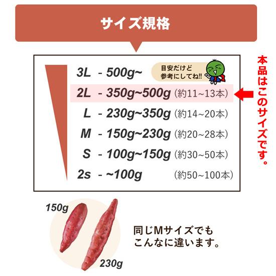 さつまいも なると金時  里むすめ 2L 5kg 自家用 徳島県鳴門市里浦町産 国産 野菜 送料無料