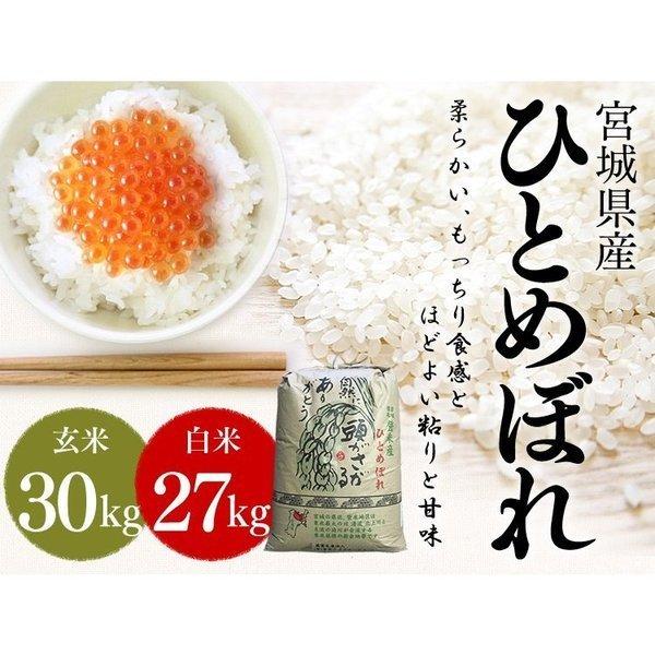 玄米 30kg ひとめぼれ 30kg 米 お米 宮城県産 産地直送 送料無料 安い 30キロ 精米 一等米 白米 ヒトメボレ 美味しい 令和5年産