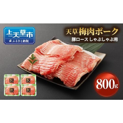 ふるさと納税 熊本県 上天草市 熊本県産 天草梅肉ポーク 豚ロース しゃぶしゃぶ用 800g 冷凍