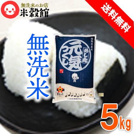 米 5kg 送料無料 九州 福岡県産 めし丸 元気つくし 5kg×1個 無洗米