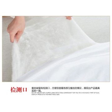 桐鄉蠶絲被100%桑蠶絲夏涼被春秋被冬被子全棉單雙人子母被芯棉被