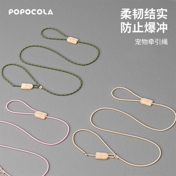 狗繩p鏈中大型犬防爆沖小狗狗牽引繩幼犬防掙脫遛狗p繩拴狗鏈繩子
