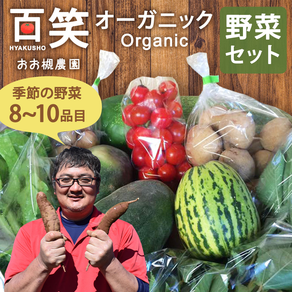 KAG-2　百笑オーガニック野菜セット（8～10品目）