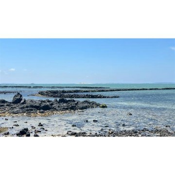 澎湖旅遊｜親子樂遊｜探索潮間帶．抱墩捕魚．踏浪尋寶．北環島．市區飯店．半自助遊三日｜高雄出發_26TI701HST