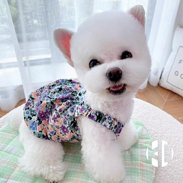 雪紡碎花夏季薄款狗狗貓咪寵物博美比熊泰迪小狗衣服小型犬春秋款【聚物優品】