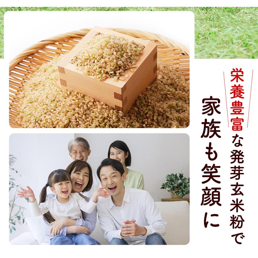 発芽玄米パウダー 100g入 無農薬・無肥料栽培米使用 本当にやさしい食べる発芽玄米粉 ネコポス便送料無料