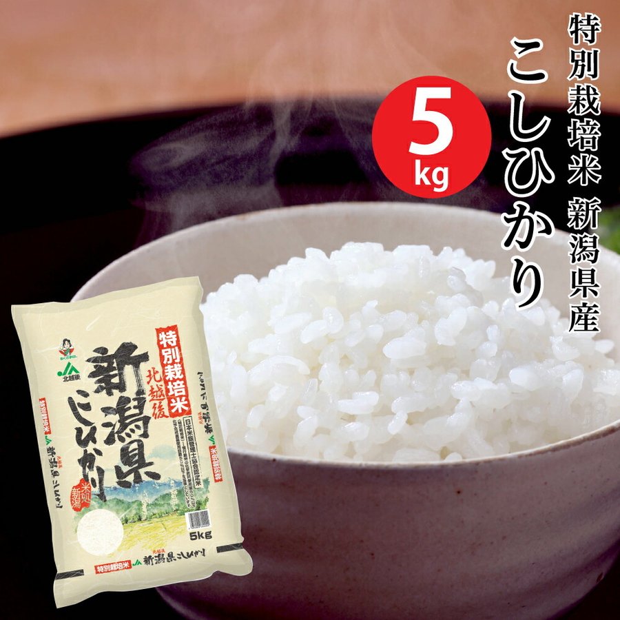 (米 5キロ 送料無料) 特別栽培米新潟県産こしひかり 5kg (おこめ コメ 白米) (代引不可)