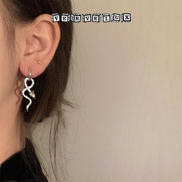两件9.9折🔥臺灣出貨🔥可開發票✅時尚蛇形耳環微鑲鋯石小設計感耳飾年新款潮氣質耳釘女