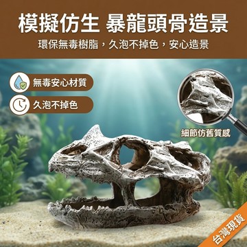 【台灣現貨】 暴龍頭骨 水族裝飾品 水族箱魚缸造景 裝飾 水草造景 恐龍樹脂頭骨 爬蟲鬃獅蜥造景 樹脂裝飾
