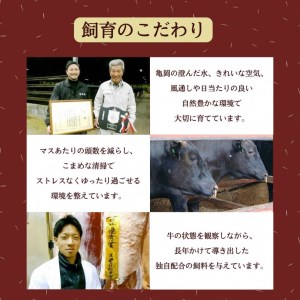 ＜亀岡牛専門店（有）木曽精肉店＞「亀岡牛特選サーロインステーキ」 1kg ☆祝！亀岡牛 2021年最優秀賞（農林水産大臣賞）受賞