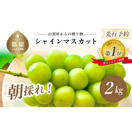 ふるさと納税 山梨県産　シャインマスカット 2kg (3房〜4房) 山梨県都留市