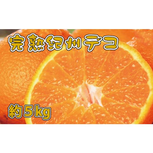 ふるさと納税 和歌山県 串本町 果肉プリプリ♪　完熟紀州デコ(不知火) 約5kg ＜2024年2月下旬頃〜2024年3月下旬頃発送＞（お届け日指定不可）