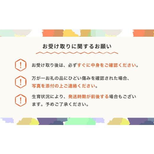 ふるさと納税 山形県 村山市 ラ・フランス 洋梨 ラフランス 秀 約3kg 2024年産 令和6年産 果物 ja-lasyx3