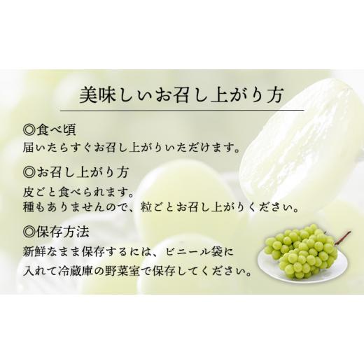 ふるさと納税 岡山県 赤磐市 ぶどう 2024年 先行予約 シャイン マスカット 大房 2房 約1.5kg 秀品 ブドウ 葡萄 岡山 赤磐市産 国産 フルーツ 果物 ギフト