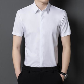 2025夏季彈力暗扣竹纖維長袖襯衫男商務休閑抗皺免燙面試短袖襯衣