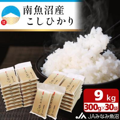 ふるさと納税 南魚沼市 計量いらずで簡単・便利「南魚沼産こしひかり真空2合×30袋入」(精米)