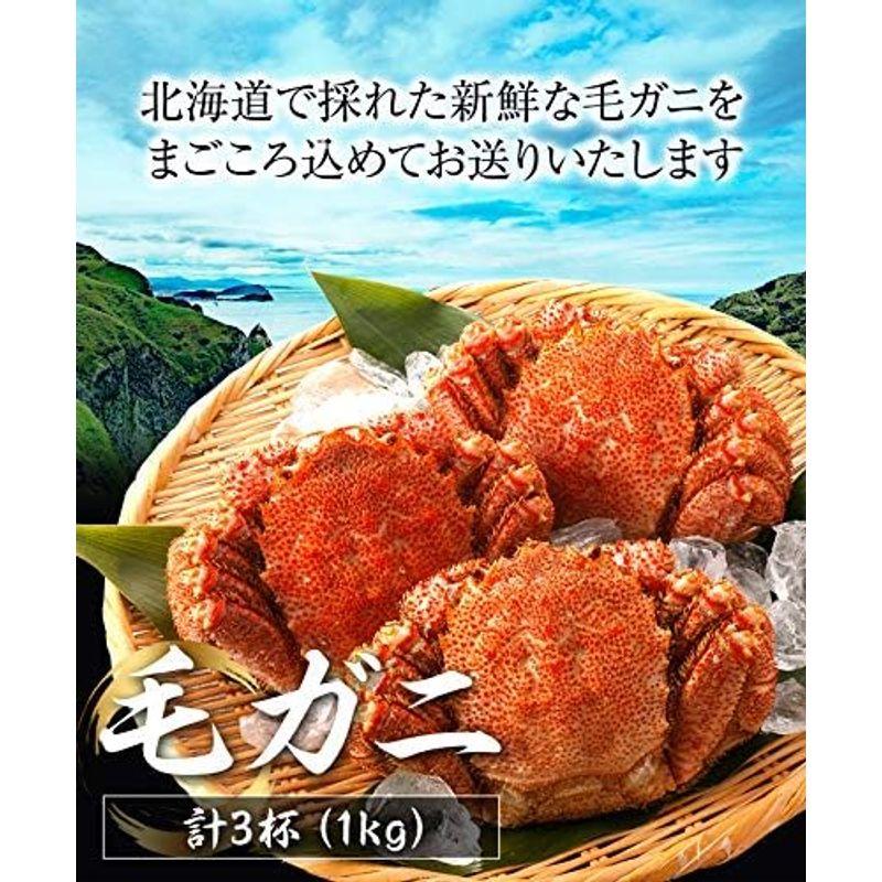 北海道産 毛ガニ三昧(冷凍) 1ｋｇ 最高ランク 蟹味噌