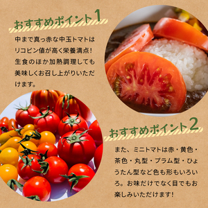 AGRIMIND　明野菜園トマト詰め合わせセット