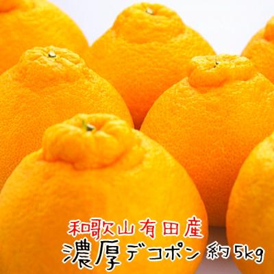 ふるさと納税 有田川町 濃厚デコポン 12〜15玉(約5kg)