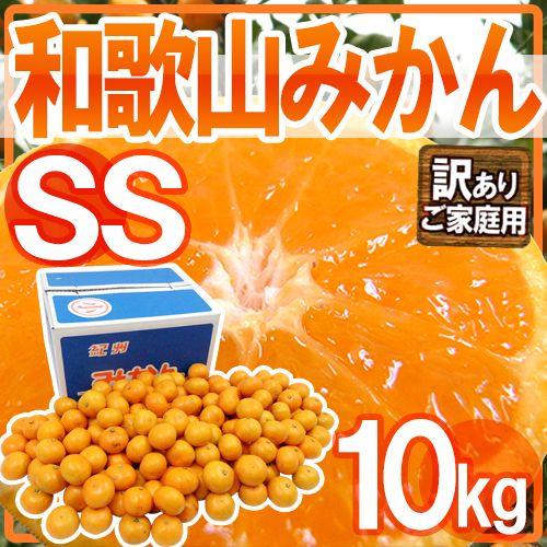 みかん ”和歌山みかん” 訳あり 小粒・小玉 SSサイズ 約10kg 送料無料