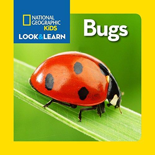 National Geographic Kids Look and Learn: Bugs (Look  Learn)