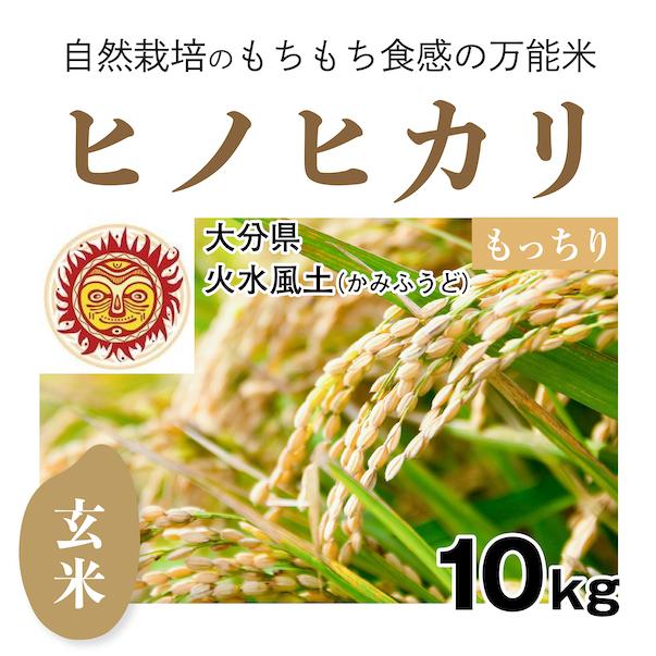 玄米10kg「自然栽培ヒノヒカリ」(大分県)火水風土（かみふうど）　令和5年産