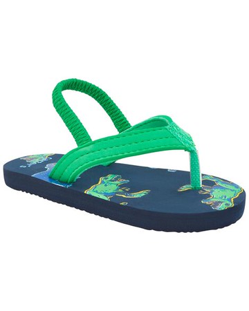 Dinosaur Flip Flops