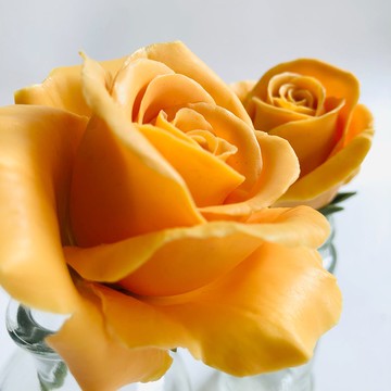 蜜蠟花擴香棒/擴香花(單朵)