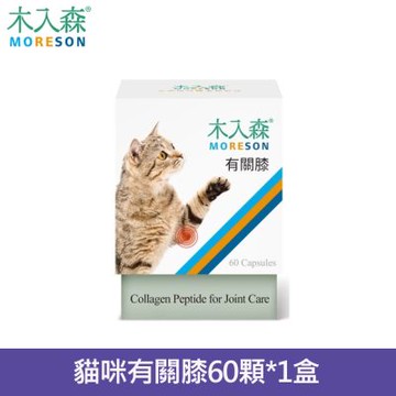 MORESON木入森貓咪有關膝60顆/盒 (貓咪關節保健食品 膠原蛋白 玻尿酸 老貓照護 貓關節保健)