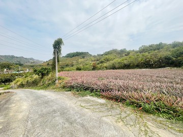 龜丹平坦農地溫泉區1｜台南市楠西區龜丹段