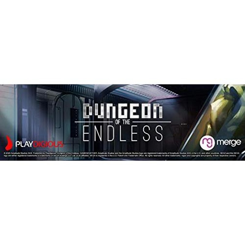 Dungeon of The Endless (輸入版:北米) ? Switch | LINEショッピング