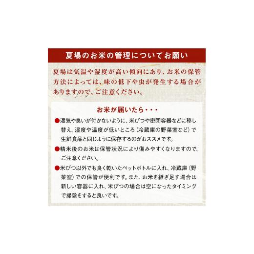 ふるさと納税 宮城県 石巻市 令和5年産 宮城県産 だて正夢 精米 10kg （5kg×2袋） 石巻市