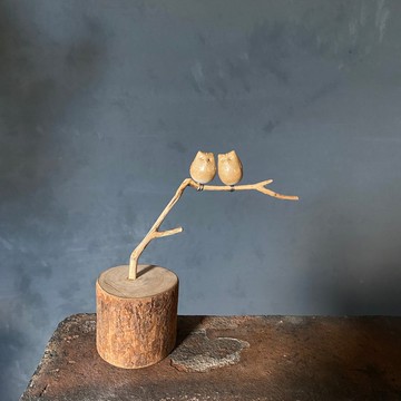 枝頭戀人 金黃貓頭鷹