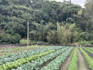 橫山田寮國小悠閒農地｜新竹縣橫山鄉田洋段