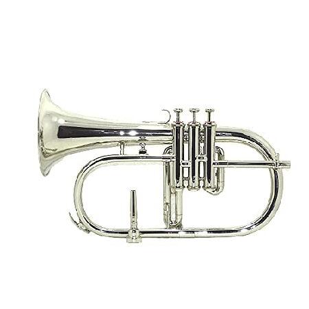 Bb Flat SILVER NICKLE Flugel Horn With Free Hard Case Mouthpiece