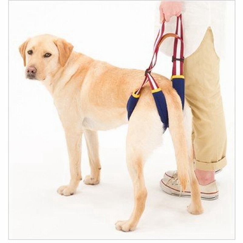介護用歩行補助ハーネス Lalawalk ｓｔｅｐ 中型犬 大型犬用 後足サポート 通販 Lineポイント最大0 5 Get Lineショッピング