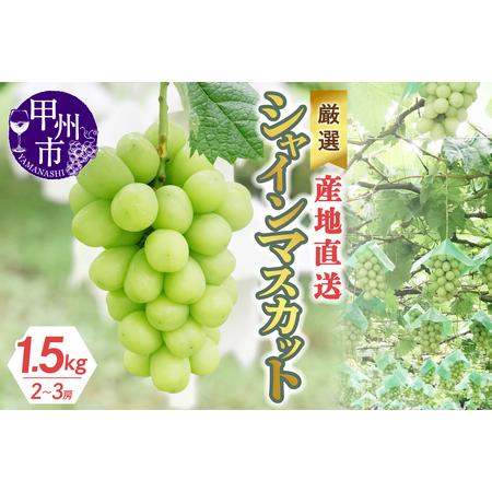 ふるさと納税 厳選！産地直送ぶどう「シャインマスカット」1.5kg（2〜3房）（KKH）B12-490 山梨県甲州市