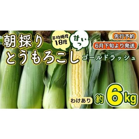 ふるさと納税  朝採り とうもろこし （ ゴールドラッシュ ） 約 6kg トウモロコシ.. 茨城県八千代町