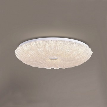 E27 壓克力吸頂二燈 L01-2414A