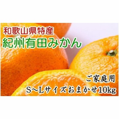 2箱セット 贈答用LL 国産バレンシアオレンジ 5kgx2 有田みかん