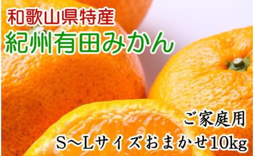 和歌山有田みかん10kg ご家庭用（S～Lサイズおまかせ）★2023年11月中旬頃より順次発送