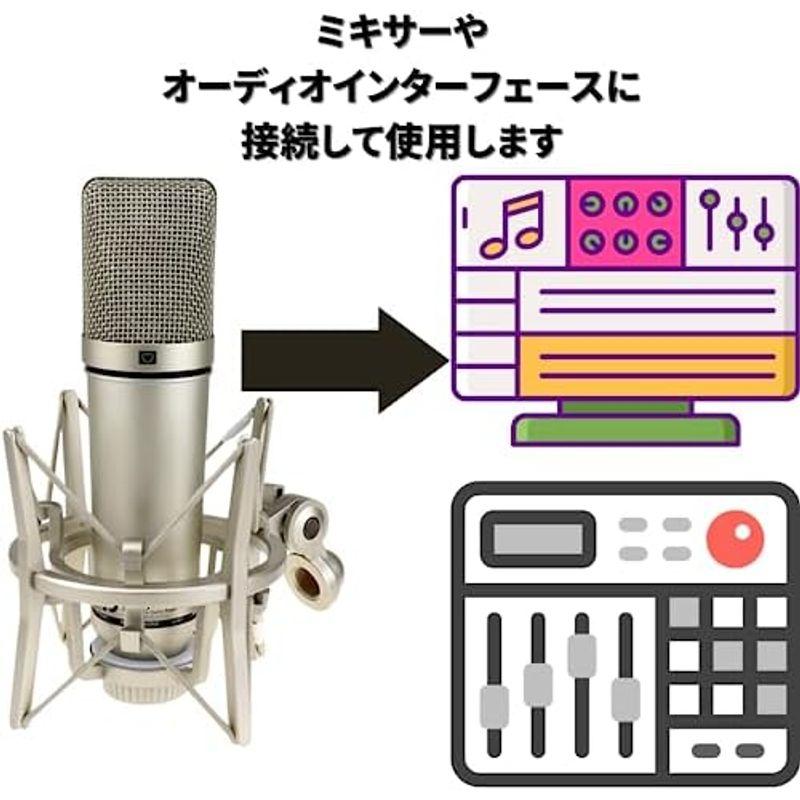 Fujirec コンデンサーマイク MICU87 レコーディング対応 大型ダイアフラム ショックマウント XLR 単一指向性 有線 ナレーシ