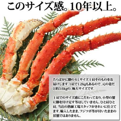 ふるさと納税 亘理町  たらばがに 脚 6Lサイズ 1.2kg×1本 マルヤ水産 かに 蟹