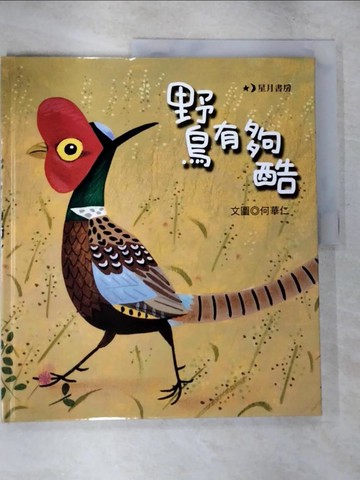【書寶二手書T3／少年童書_T5Z】野鳥有夠酷_何華仁