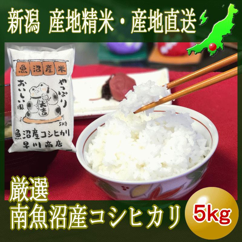 魚沼産コシヒカリ 5kg 南魚沼 令和４年産 塩沢 厳選