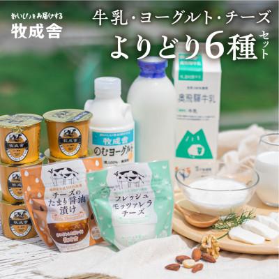 ふるさと納税 飛騨市 飛騨の牛乳屋・牧成舎のよりどり牛乳ヨーグルトチーズセット